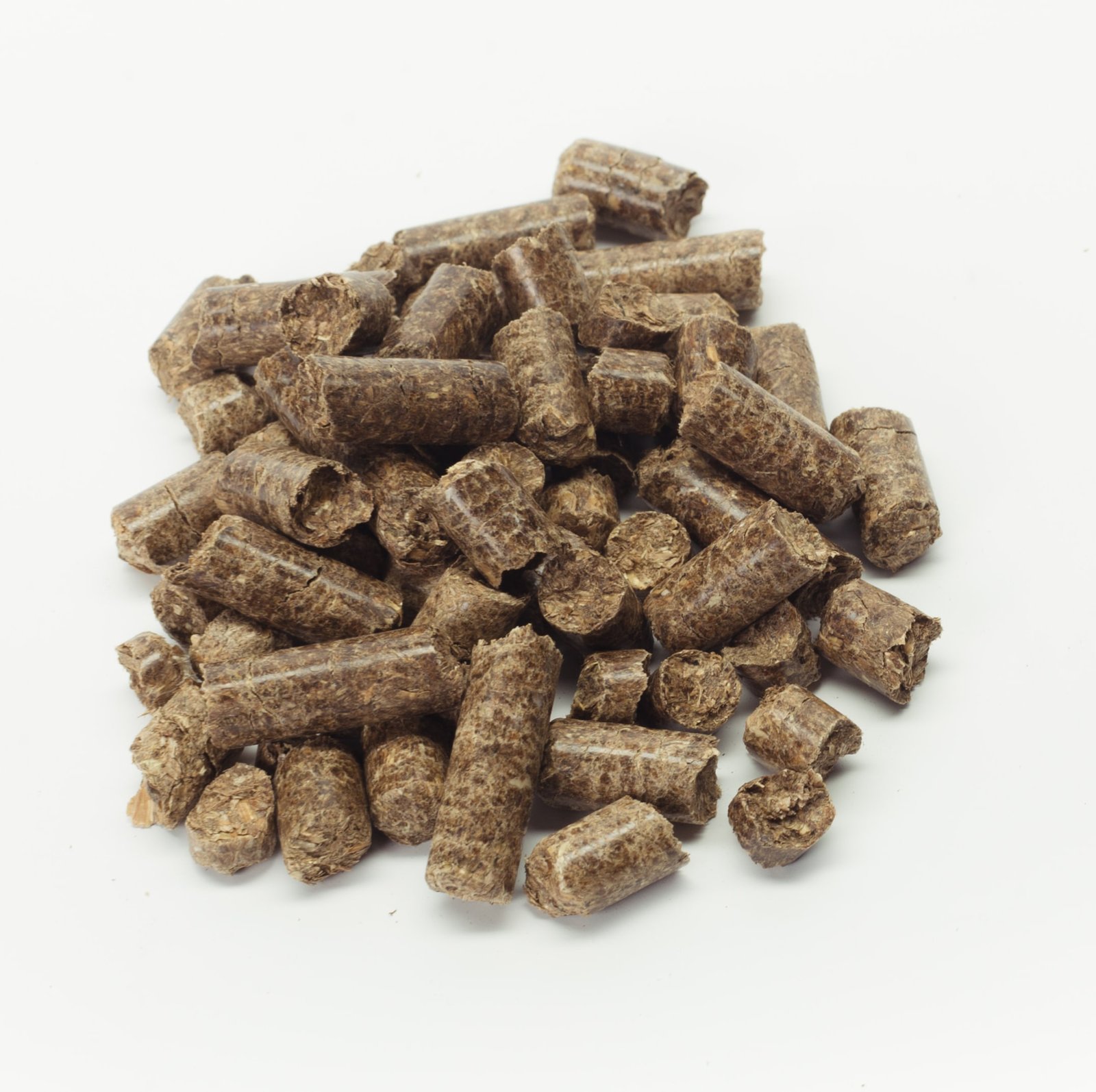 Biomass Briquette Manufacturing